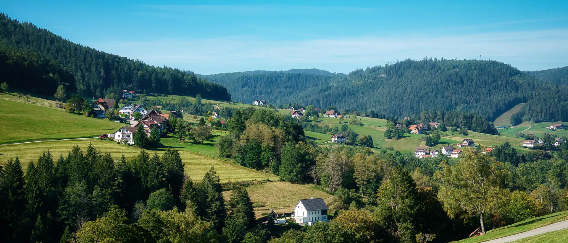 Sauerländer Tal mit Wiesen, Wald und verstreuten Häusern